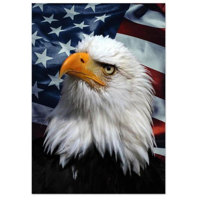 Poster - American Eagle