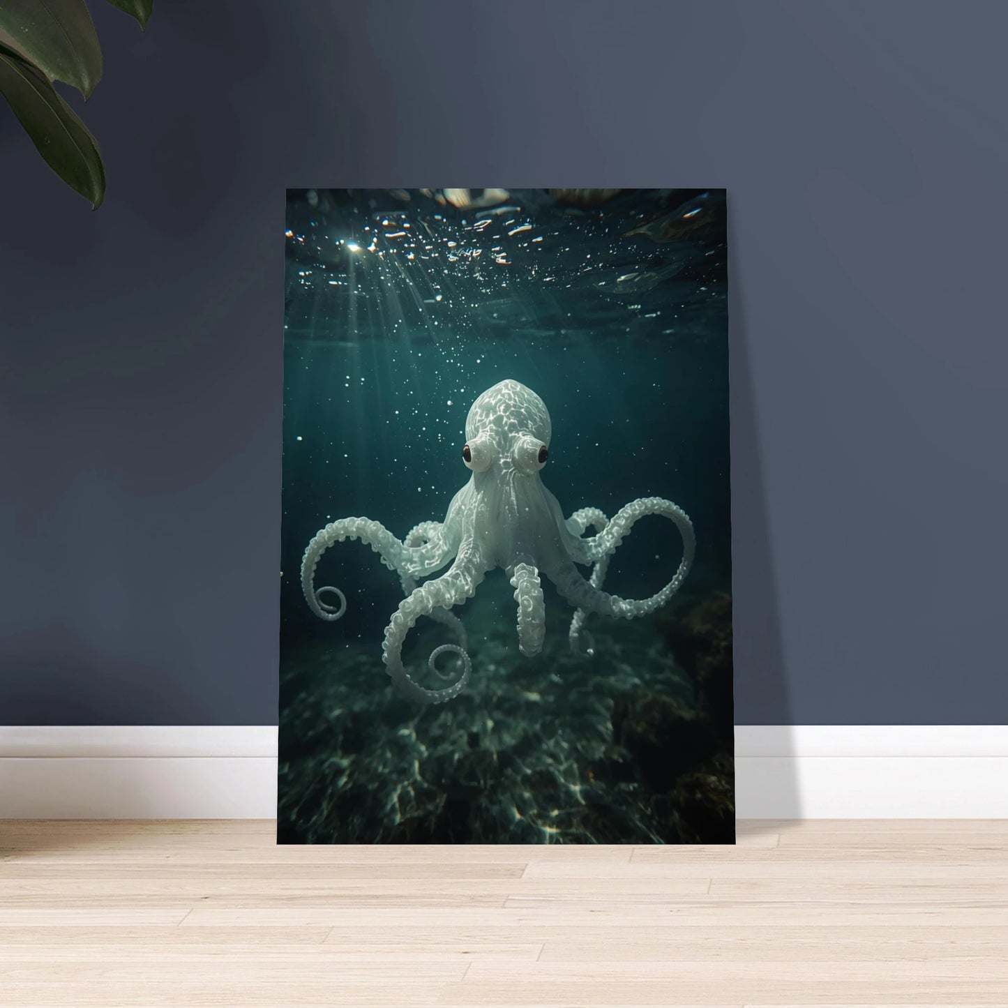 Albino bläckfisk svävar i havets djup, eterisk och mystisk.