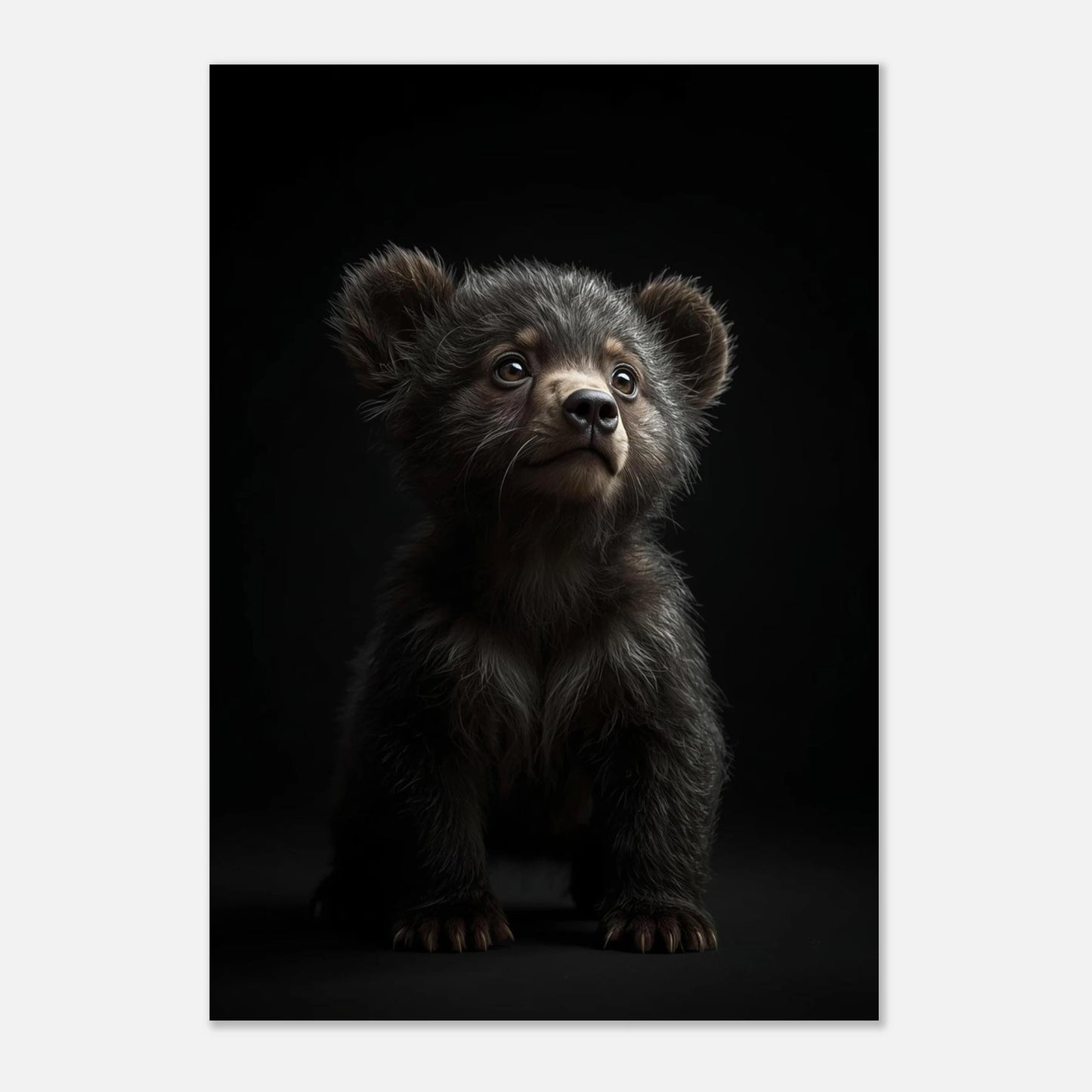 Rektangulär poster med björnunge och mörk bakgrund, sedd ur ett bredare perspektiv – Fotorealistisk poster