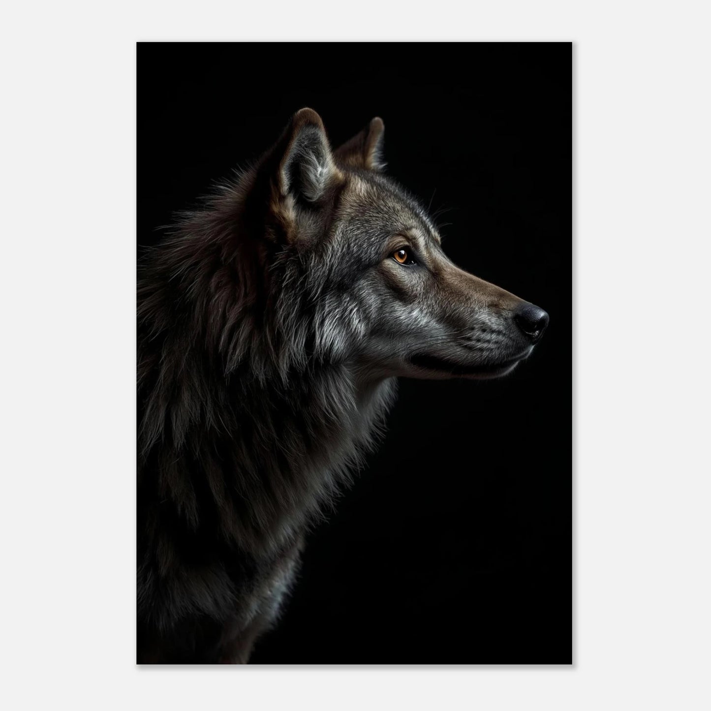 Vargens stoiska blick, utskriven på vit posterbakgrund – Fotorealistisk poster