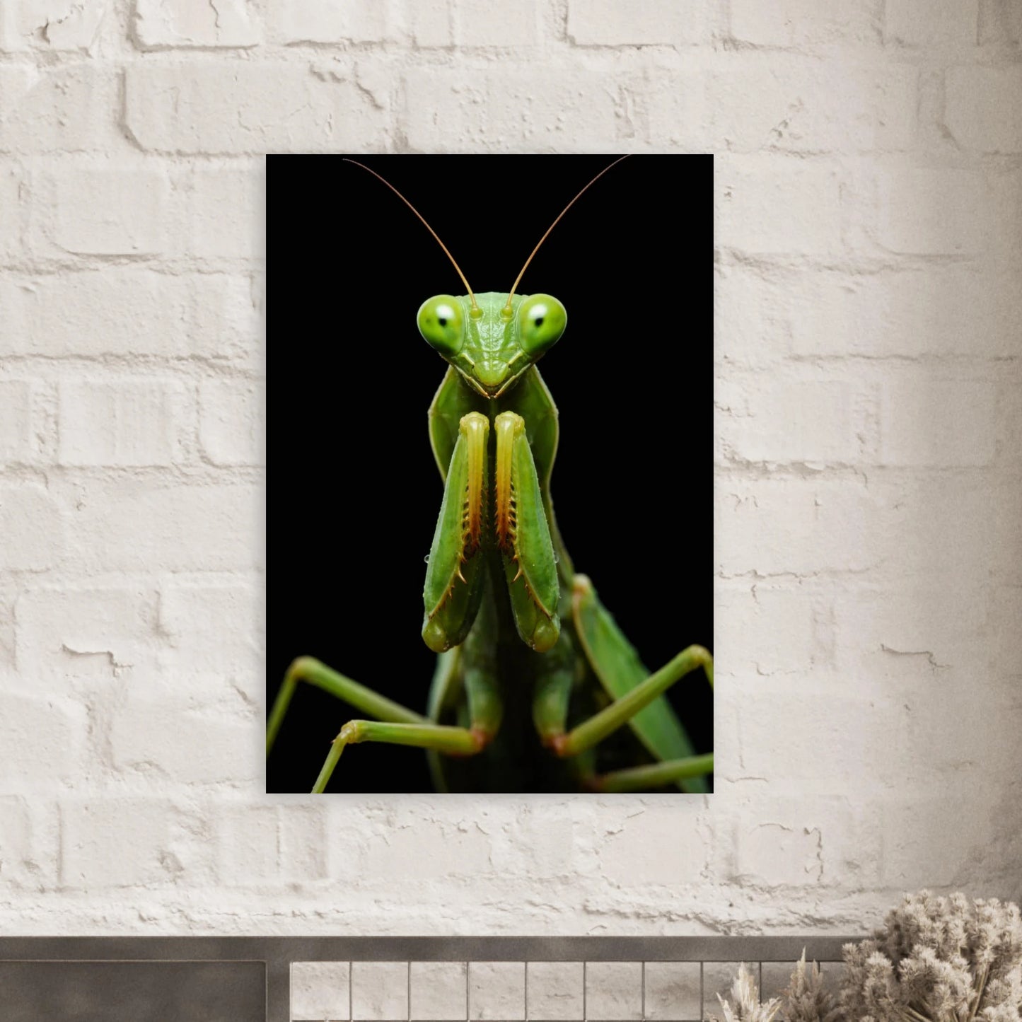 Bönsyrsa-poster monterad på en vit tegelvägg över en köksbänk – Fotorealistisk poster