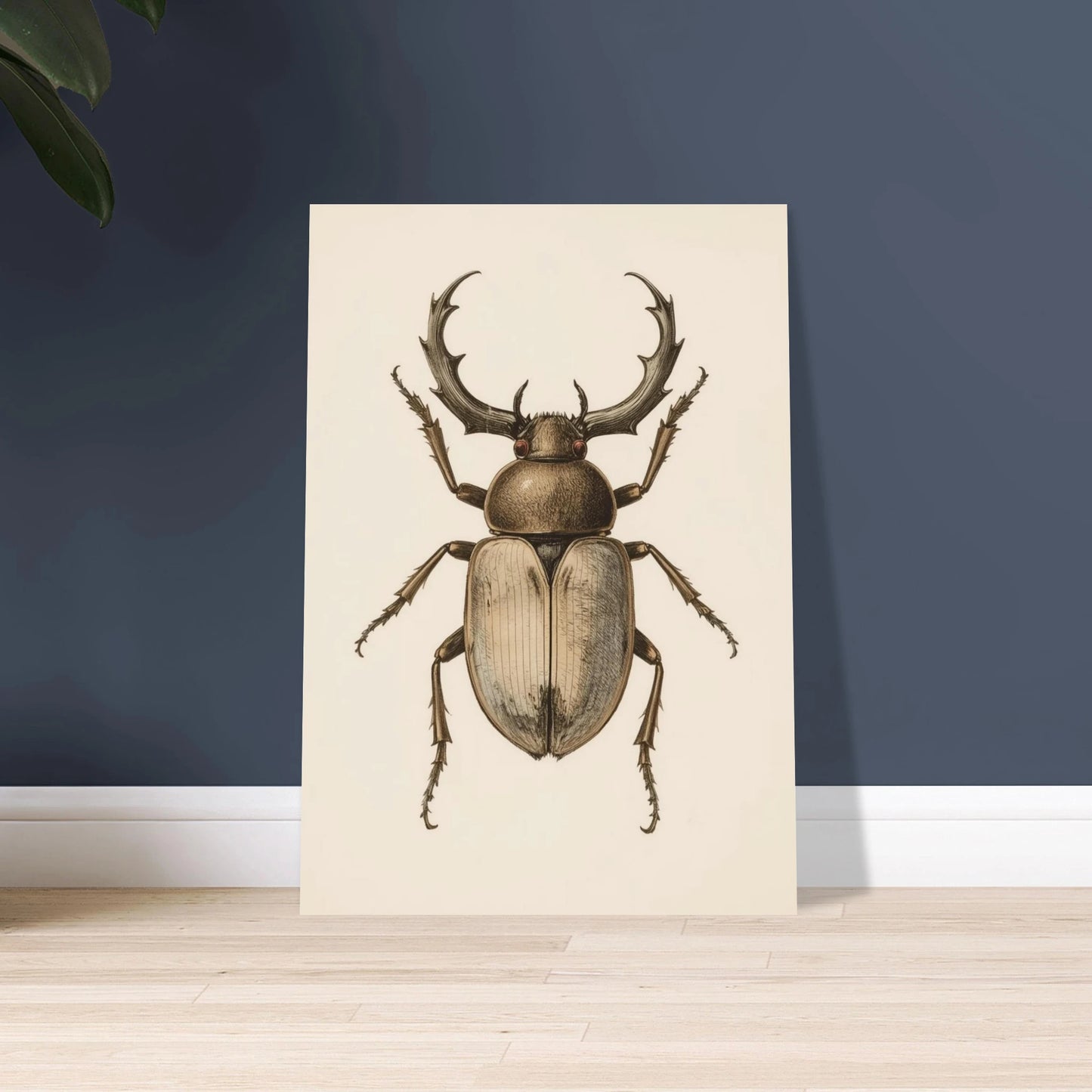 Detaljerad vetenskaplig illustration av en ekoxe med ståtliga horn.