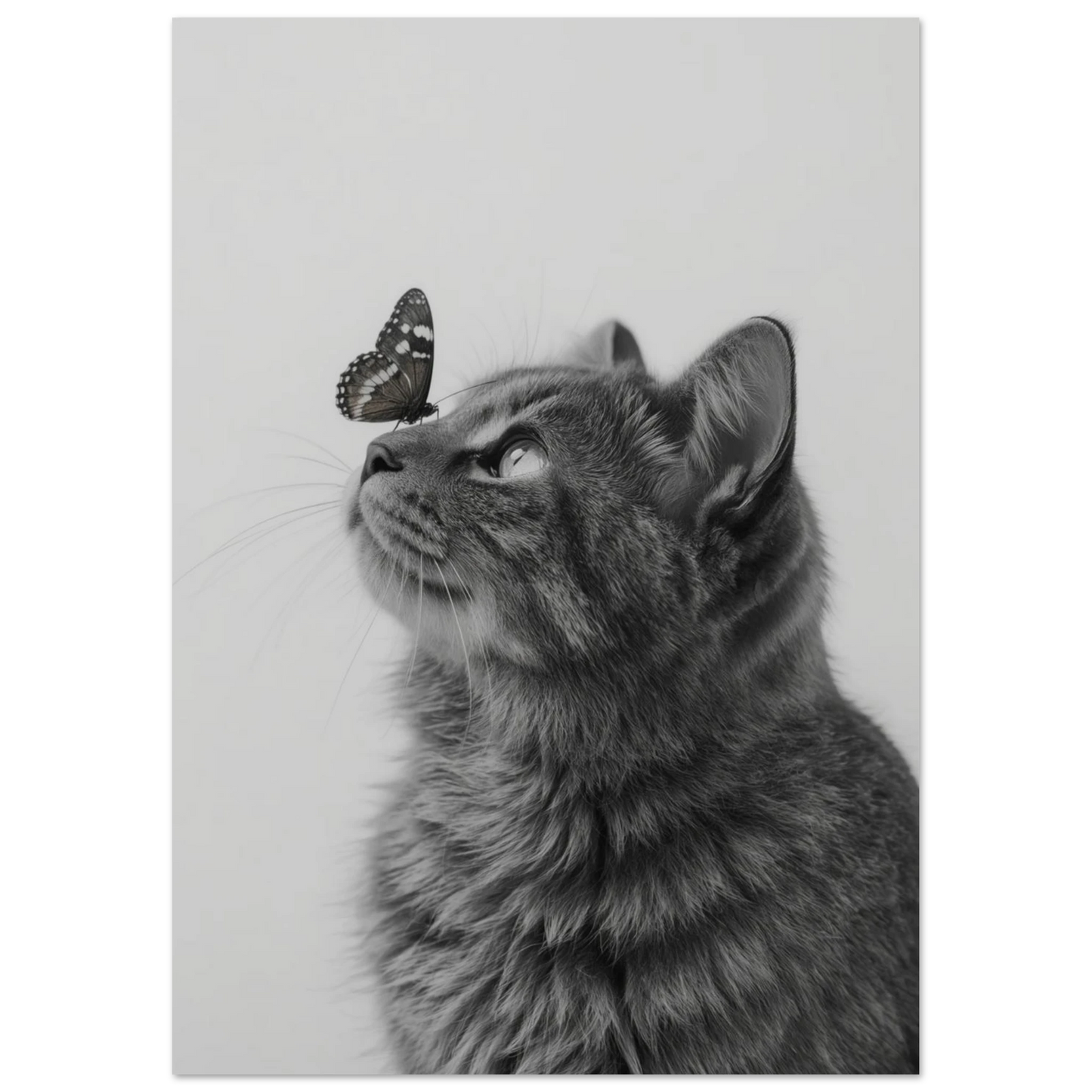 Konstnärligt fotografi av katt och fjäril i profil, gråskala