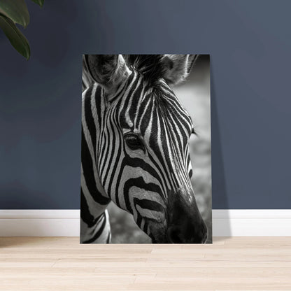 Zebra ansikte i svartvitt, närbild med fokus på ögat