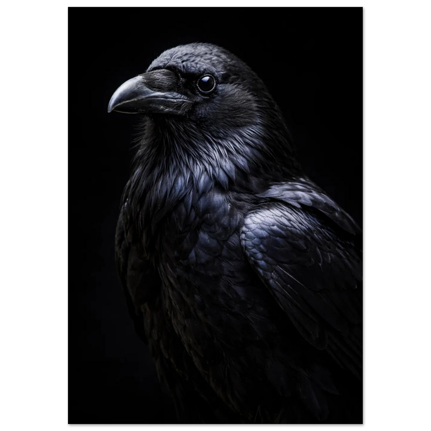 Korpens profil i dunkelt ljus som framhäver fjäderdräktens struktur, med fokus på ögat – Fotorealistisk poster