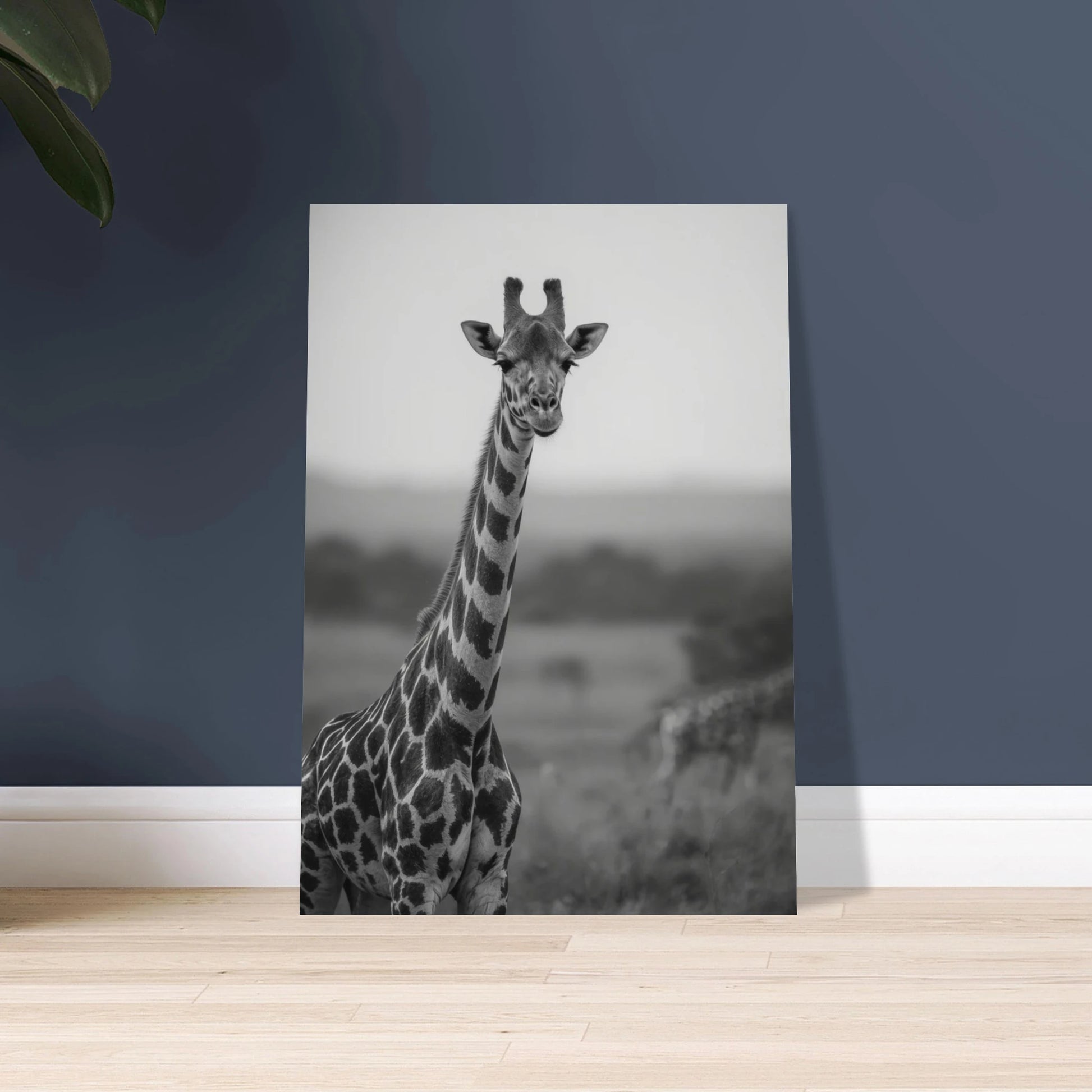 Majestätisk giraff i svartvitt, elegant och ståtlig i naturen.