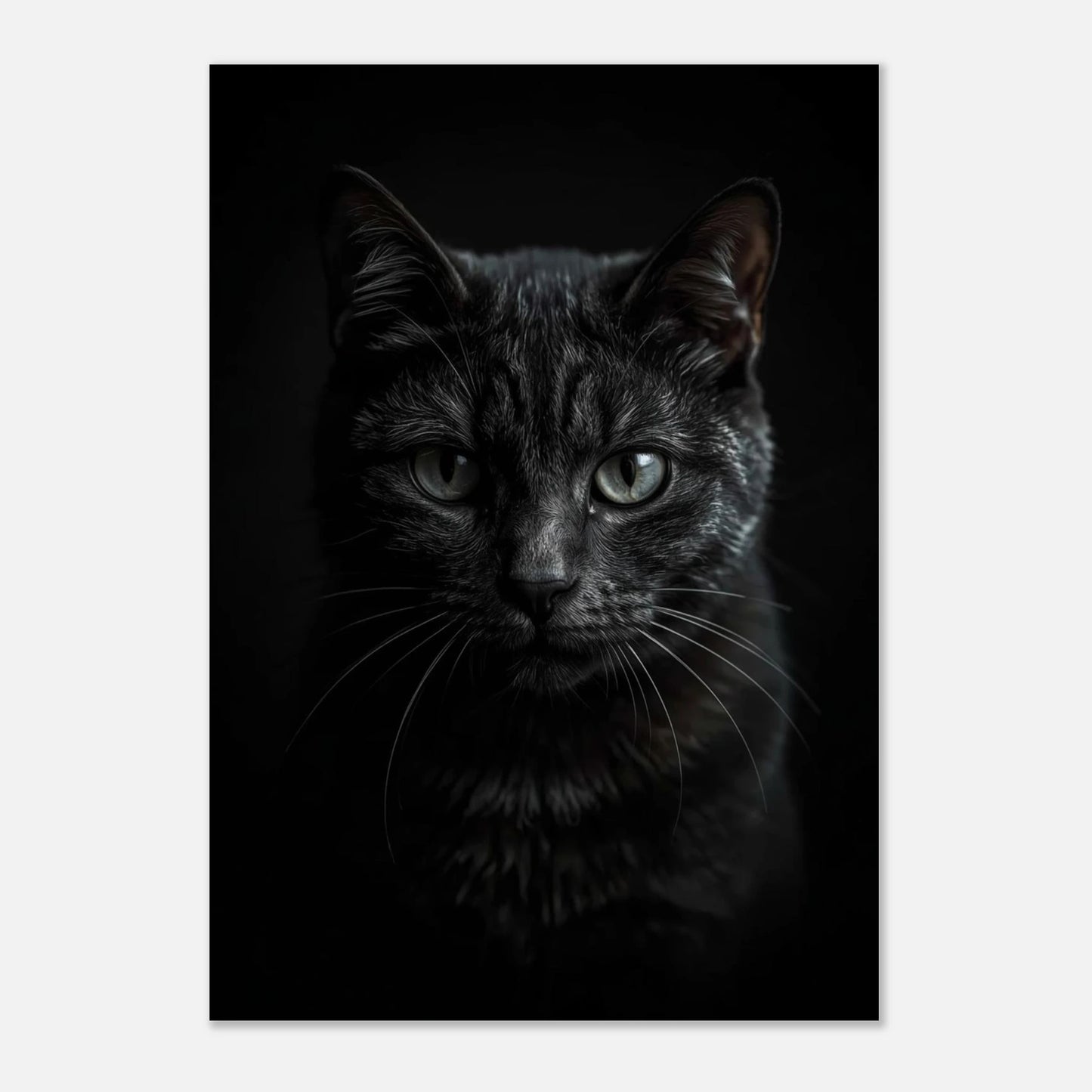 Mystisk svart katt i skuggspel, elegant poster för modernt hem