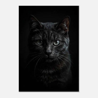 Mystisk svart katt i skuggspel, elegant poster för modernt hem