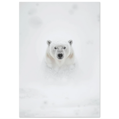 Isbjörn i tät snöstorm med intensiv blick – minimalistisk fotoposter