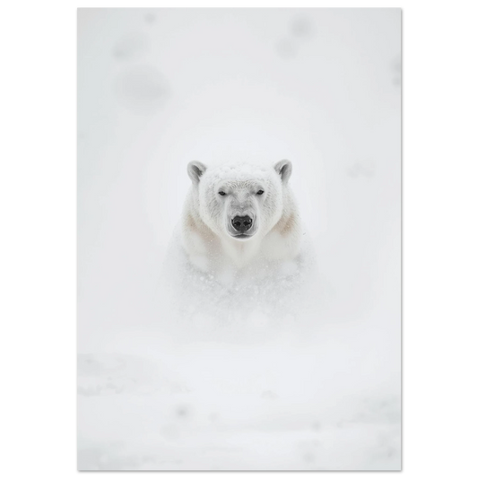 Isbjörn i tät snöstorm med intensiv blick – minimalistisk fotoposter