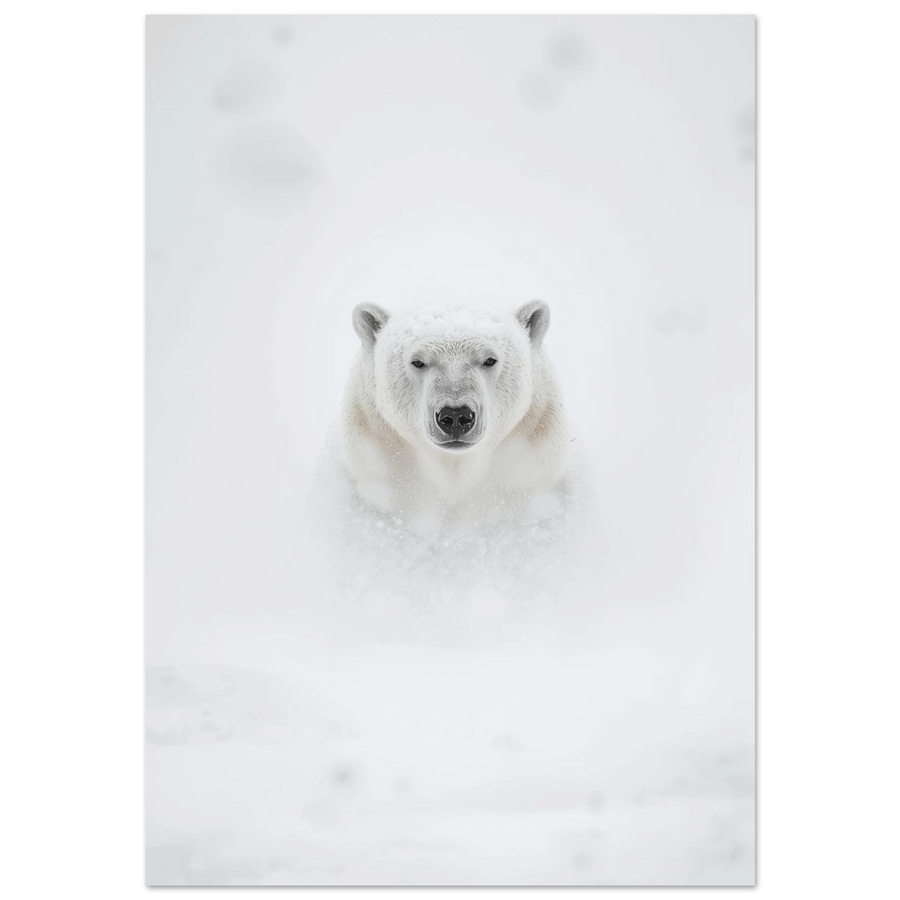 Isbjörn i tät snöstorm med intensiv blick – minimalistisk fotoposter