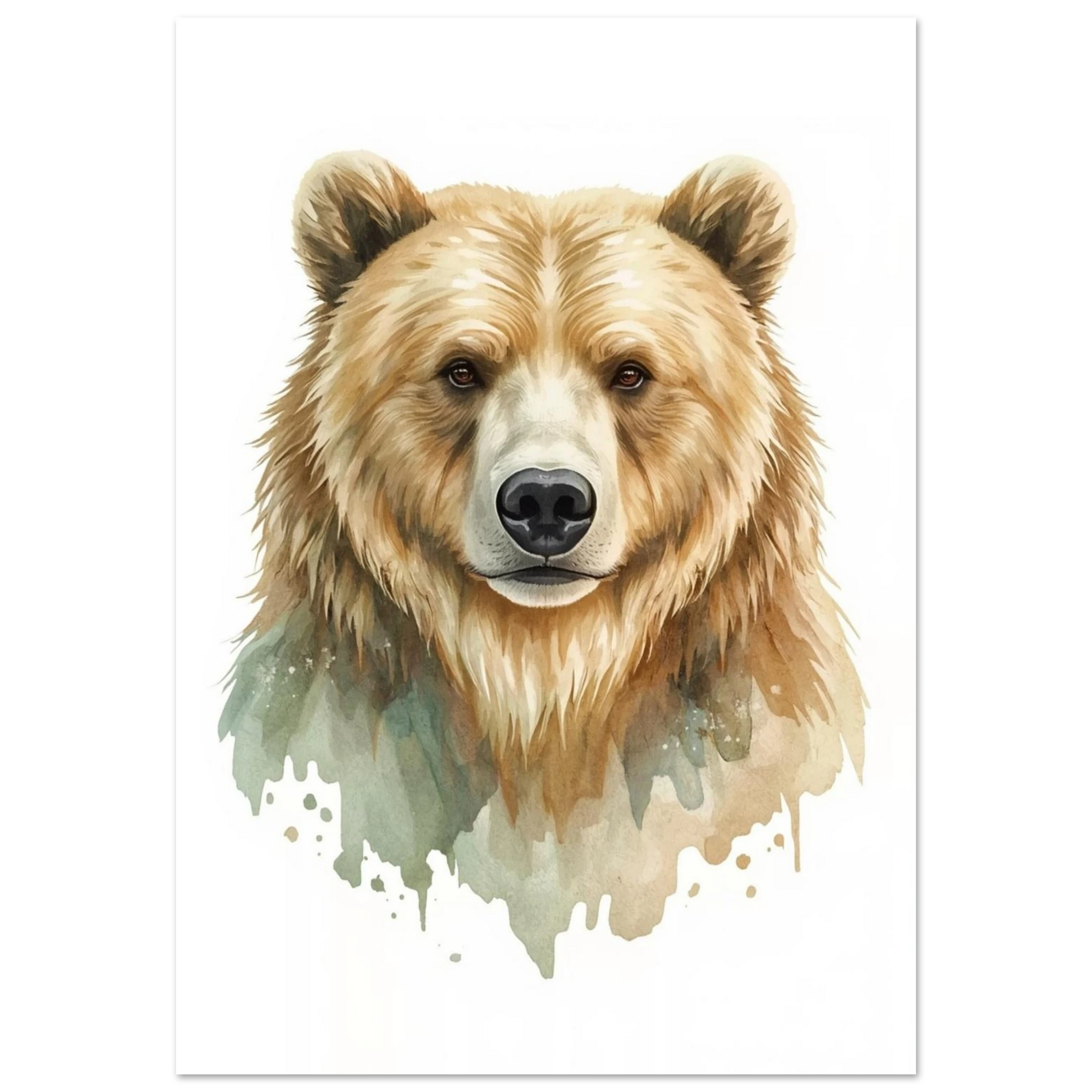 Porträtt av en brunbjörn i akvarell – Målad poster
