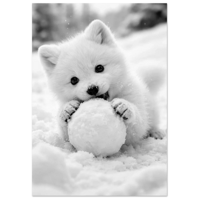 Poster - Fjällrävsvalp med snöboll