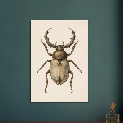 Detaljerad vetenskaplig illustration av en ekoxe med ståtliga horn.