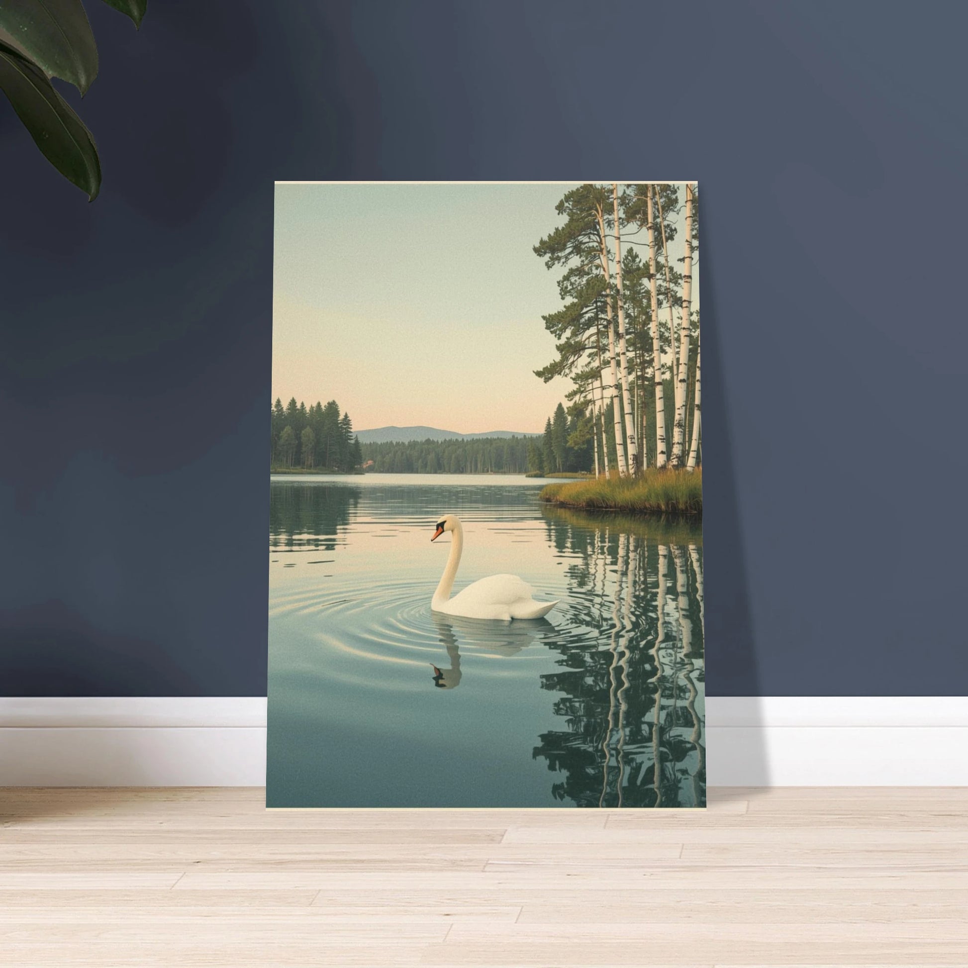 Svan på lugn sjö, omgiven av skog och björkar, retrostil.