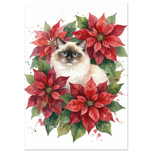 Ragdoll med blå ögon bland röda julstjärnor – akvarellmålning