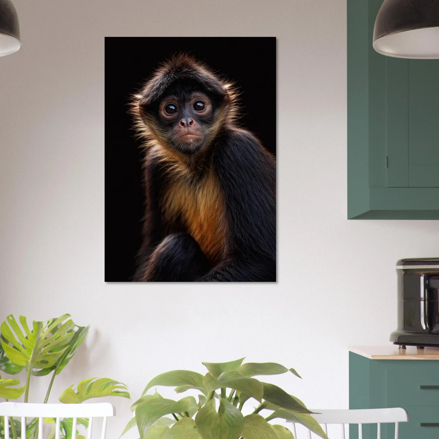 Spindelapa-poster upphängd på vit vägg i kök, inramad – Fotorealistisk poster