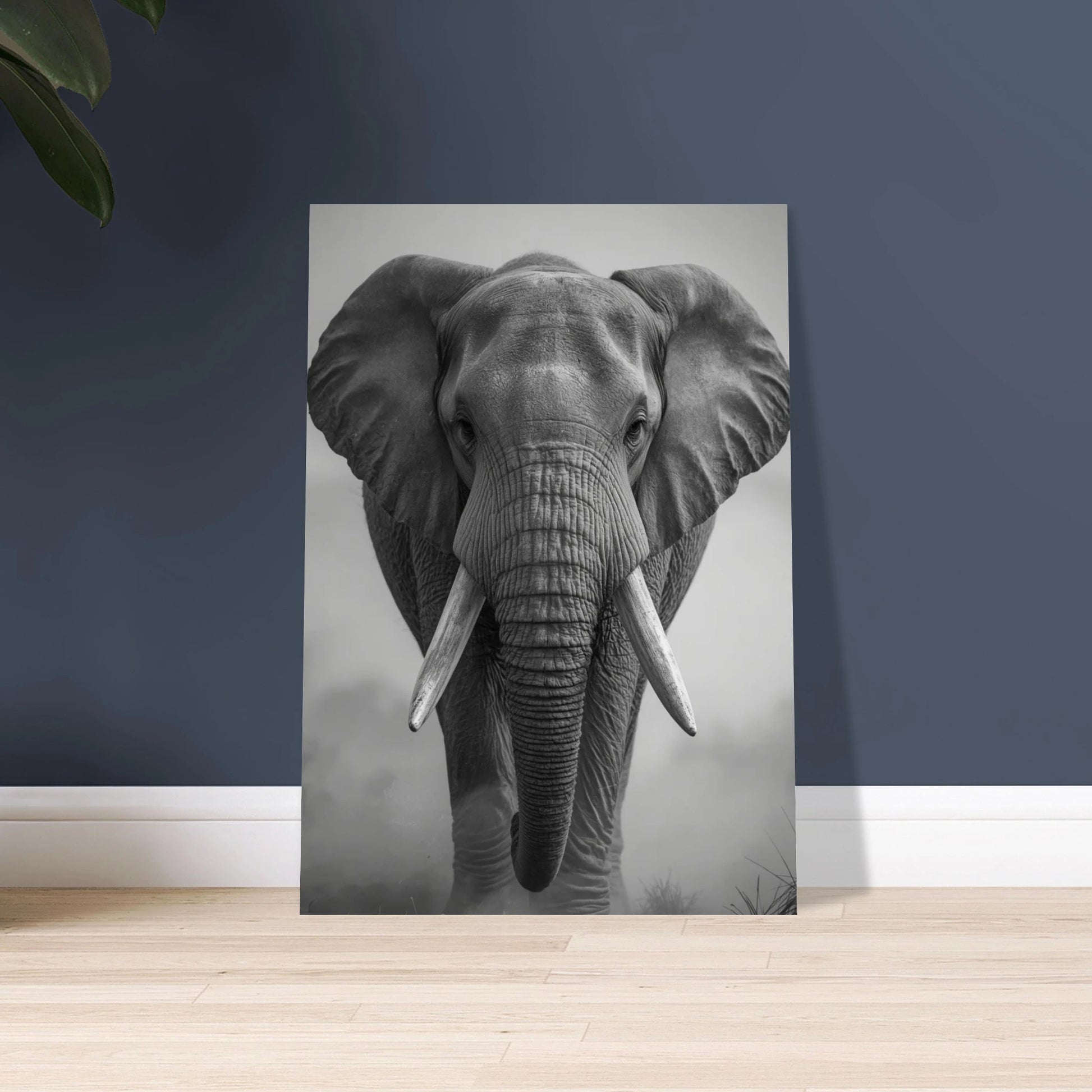 Afrikansk elefant i svartvitt, majestätisk och kraftfull, med betar