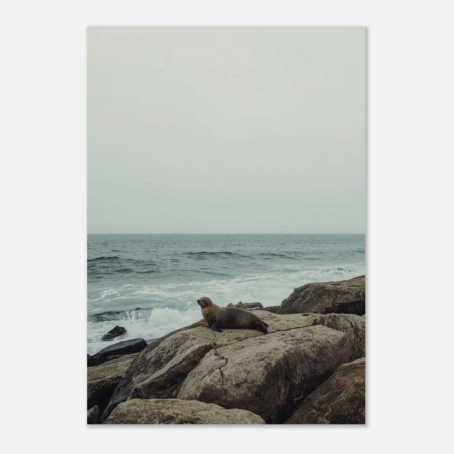 Minimalistisk naturposter med en säl i centrum vid klippig strand