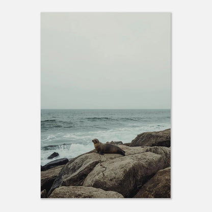 Minimalistisk naturposter med en säl i centrum vid klippig strand