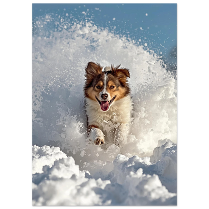 Närbild på hund som leker i snösvängar, actionfylld djurposter