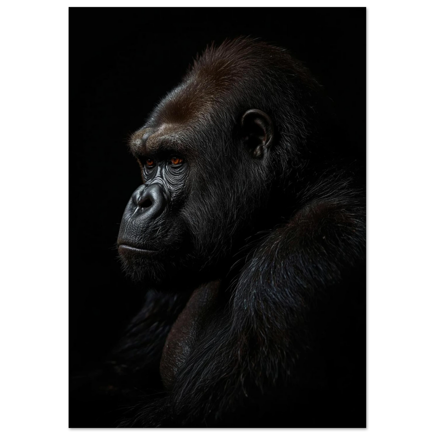 Majestätisk gorilla i studiomiljö med dramatisk ljussättning, konstnärlig tavla