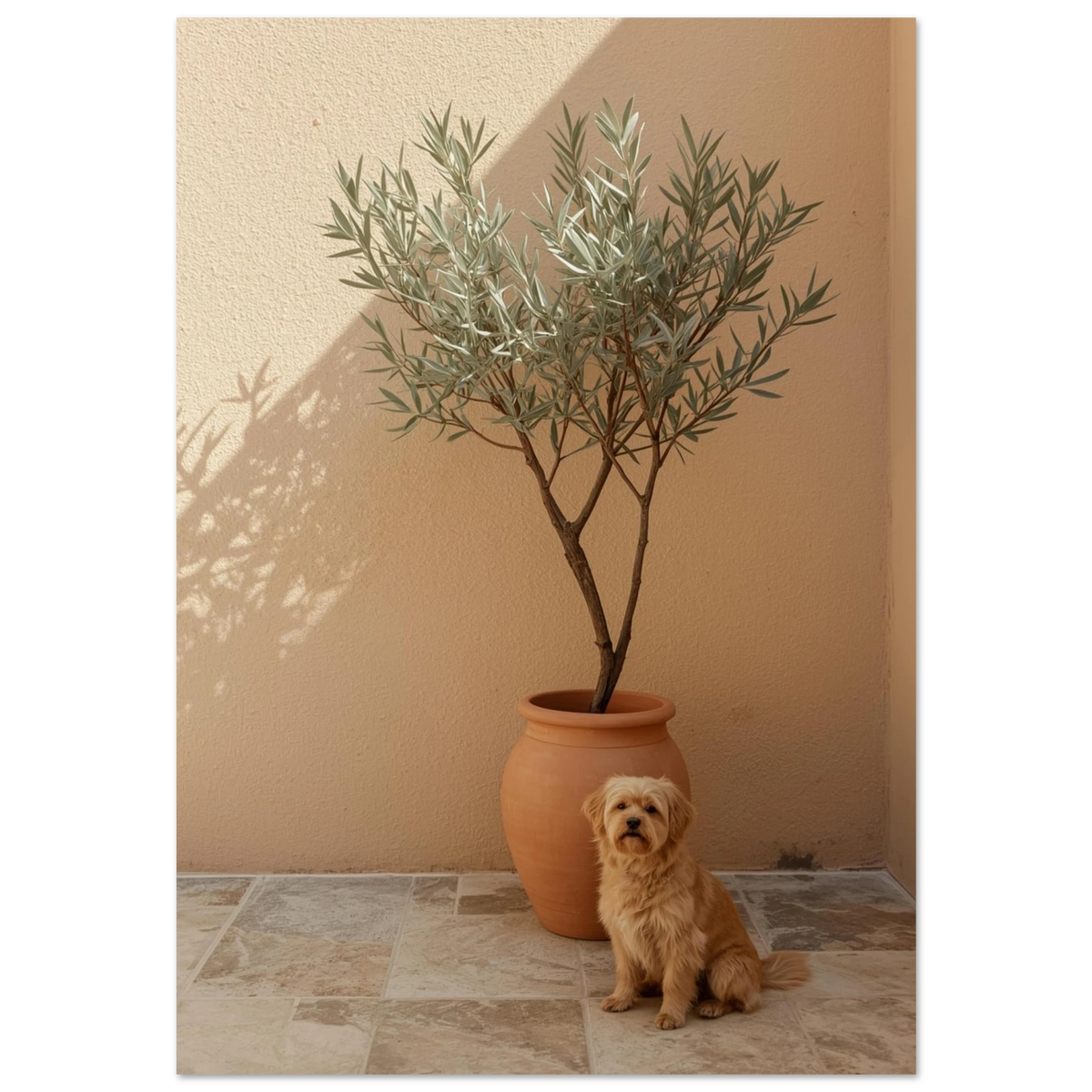 Liten beige hund sitter vid olivträd i terrakottakruka, varmt solljus