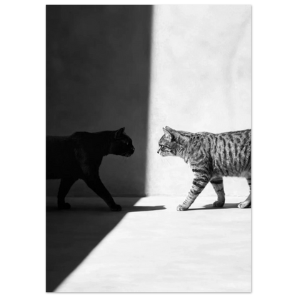 Svartvit konstnärlig bild på katter i en gränd – Fotorealistisk poster