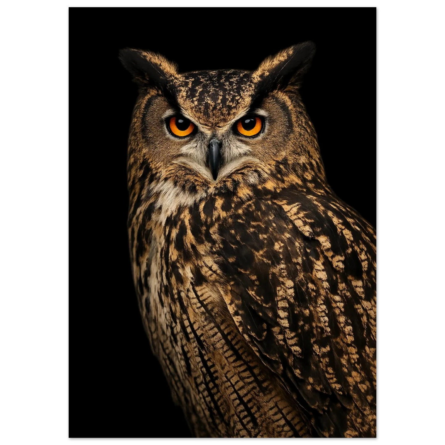 Närbild av berguvens ansikte och bröstfjädrar mot en svart bakgrund – Fotorealistisk poster