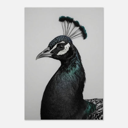 Elegant påfågelsposter som visar fågelns majestätiska profil och vackra näbb