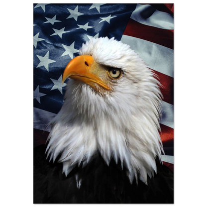 Närbild på en vithövdad havsörn mot en amerikansk flagga – Fotorealistisk poster