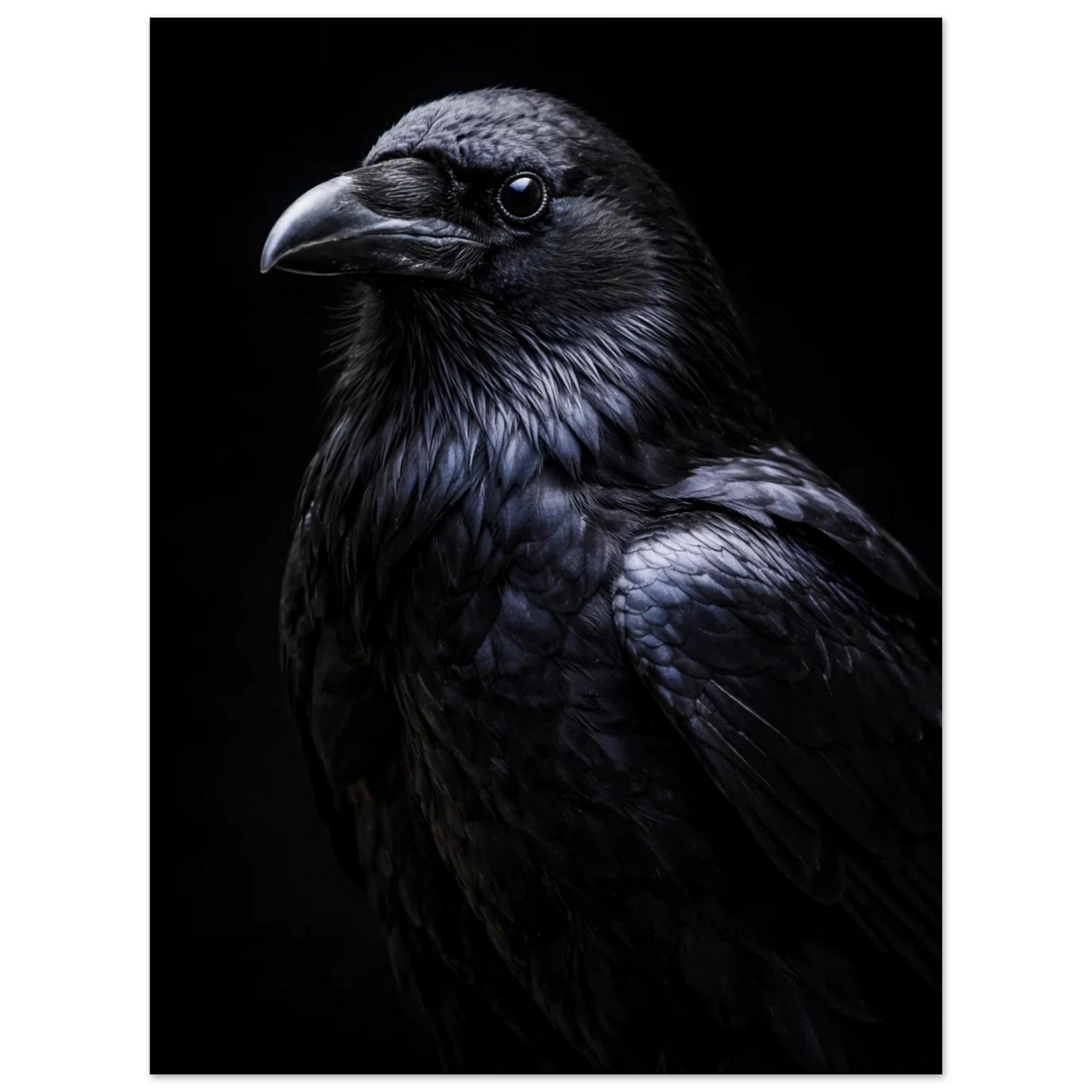 Skarp bild av en korp som tittar åt sidan med en intelligent blick – Fotorealistisk poster