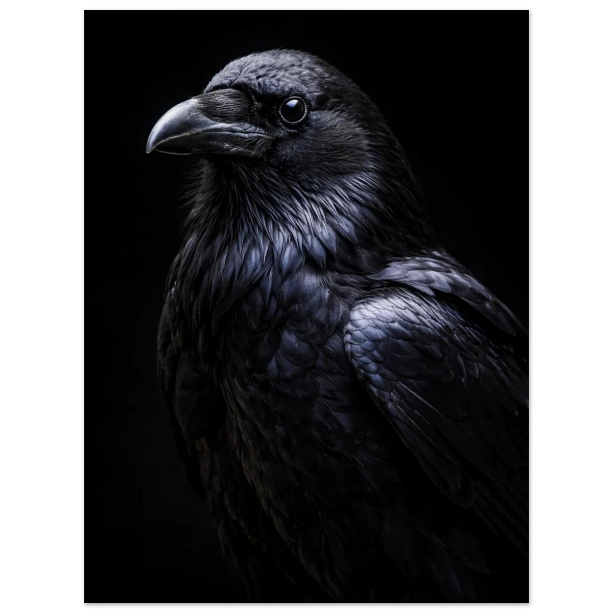 Skarp bild av en korp som tittar åt sidan med en intelligent blick – Fotorealistisk poster