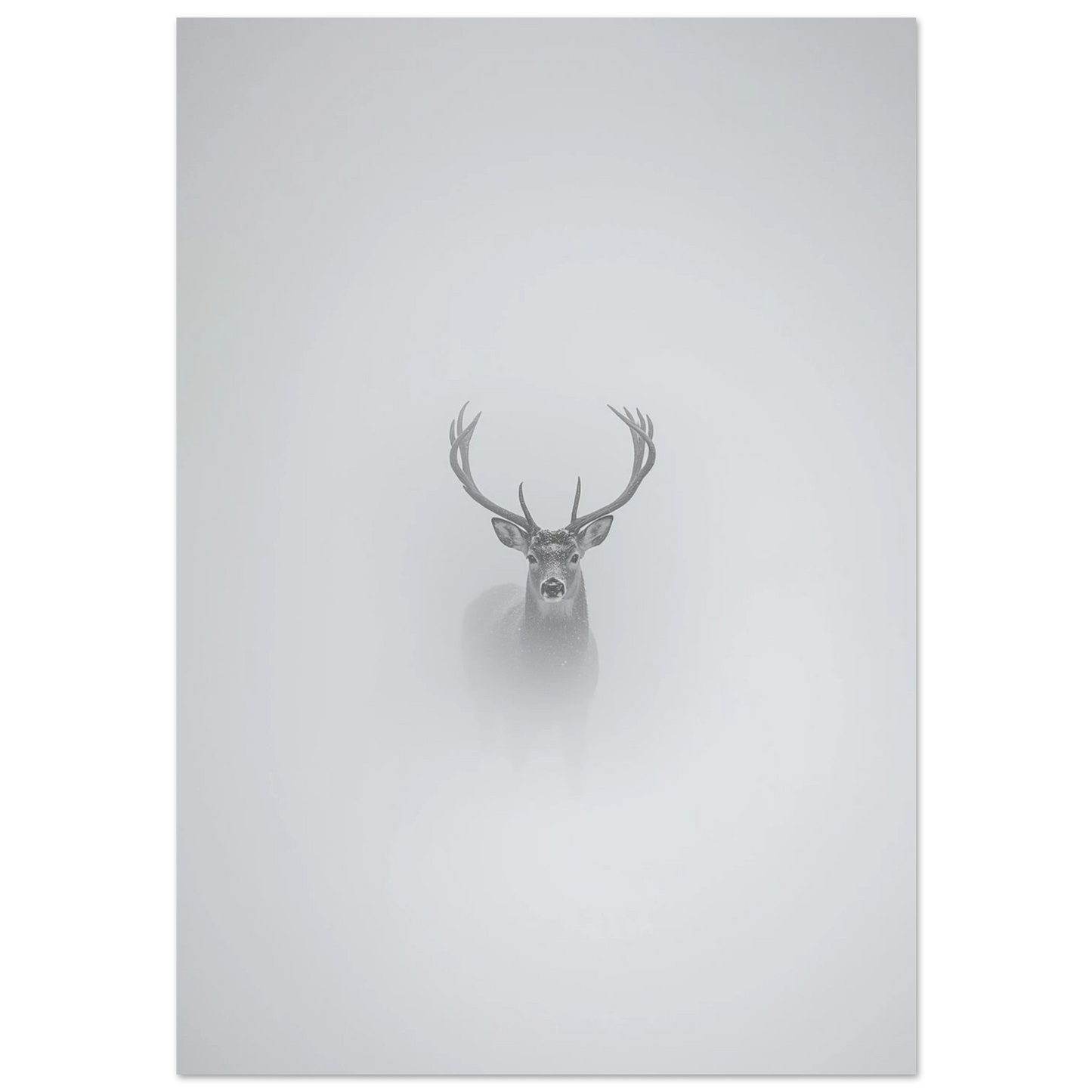 Kronhjort med stora horn i tät vit dimma – minimalistisk fotoposter