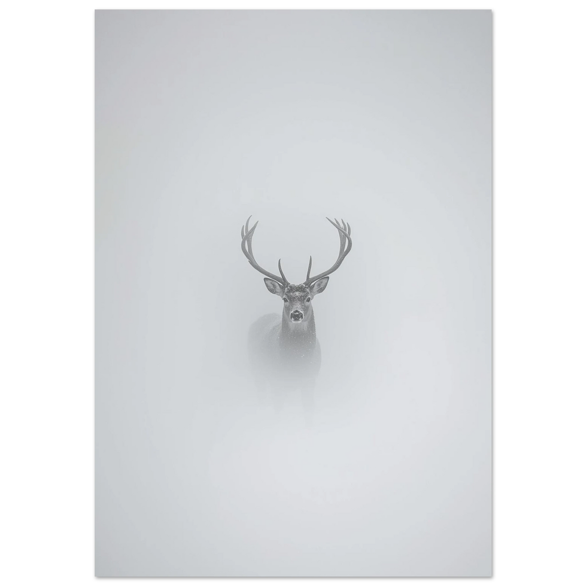 Kronhjort med stora horn i tät vit dimma – minimalistisk fotoposter