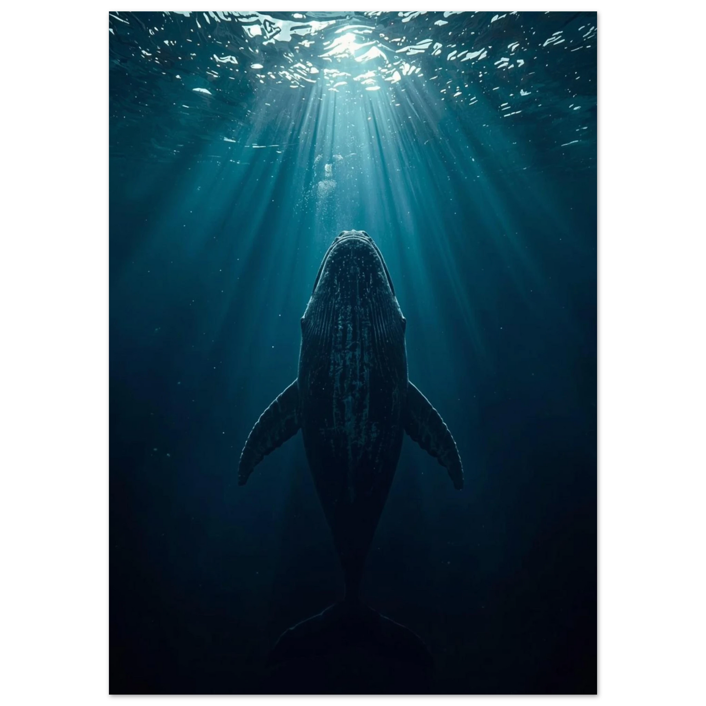 Närbild på valens buk och fenor under vattenytan, blå djurposter