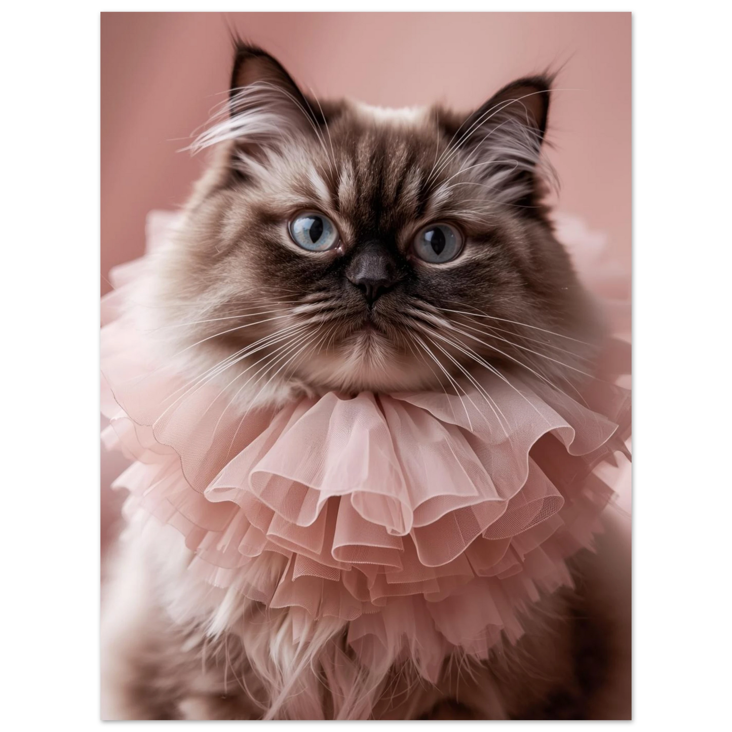 Drömsk kattposter föreställande långhårig katt i rosa tyll – fotokonst