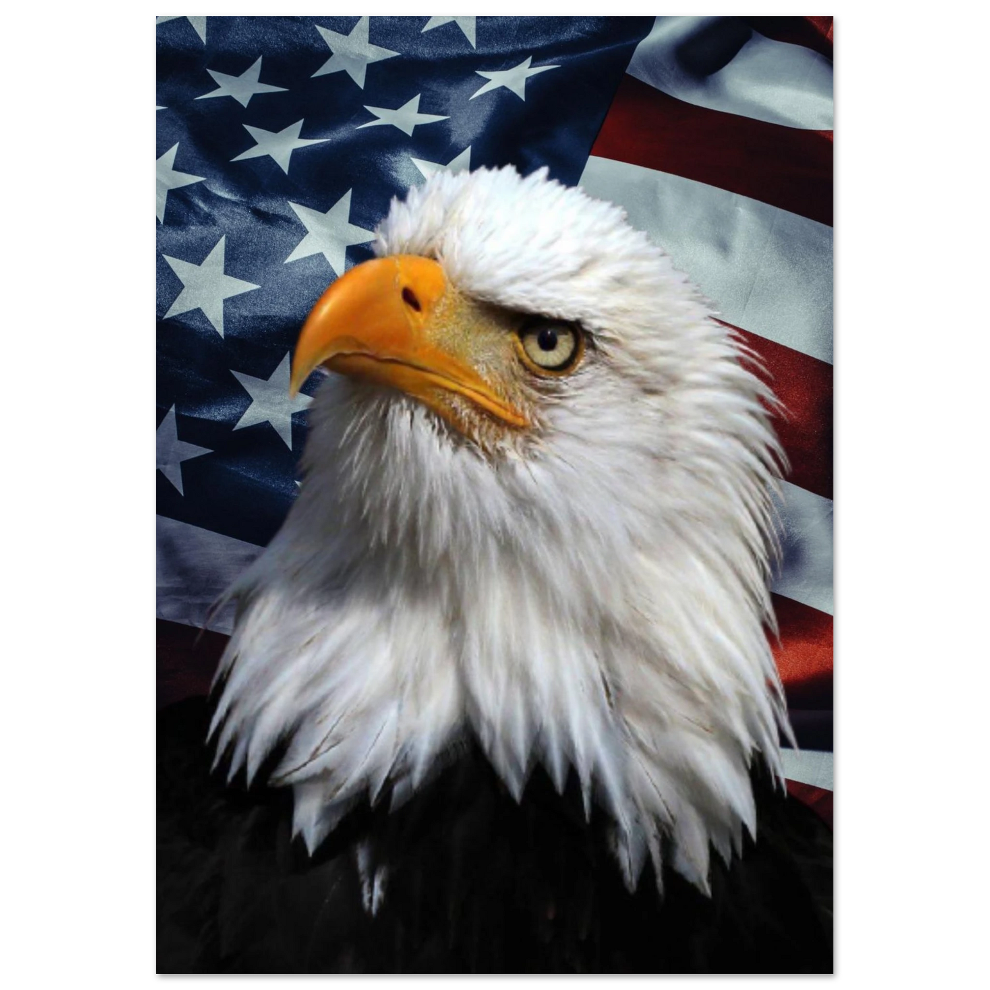 Amerikansk örn med intensiv blick framför Stars and Stripes – Fotorealistisk poster