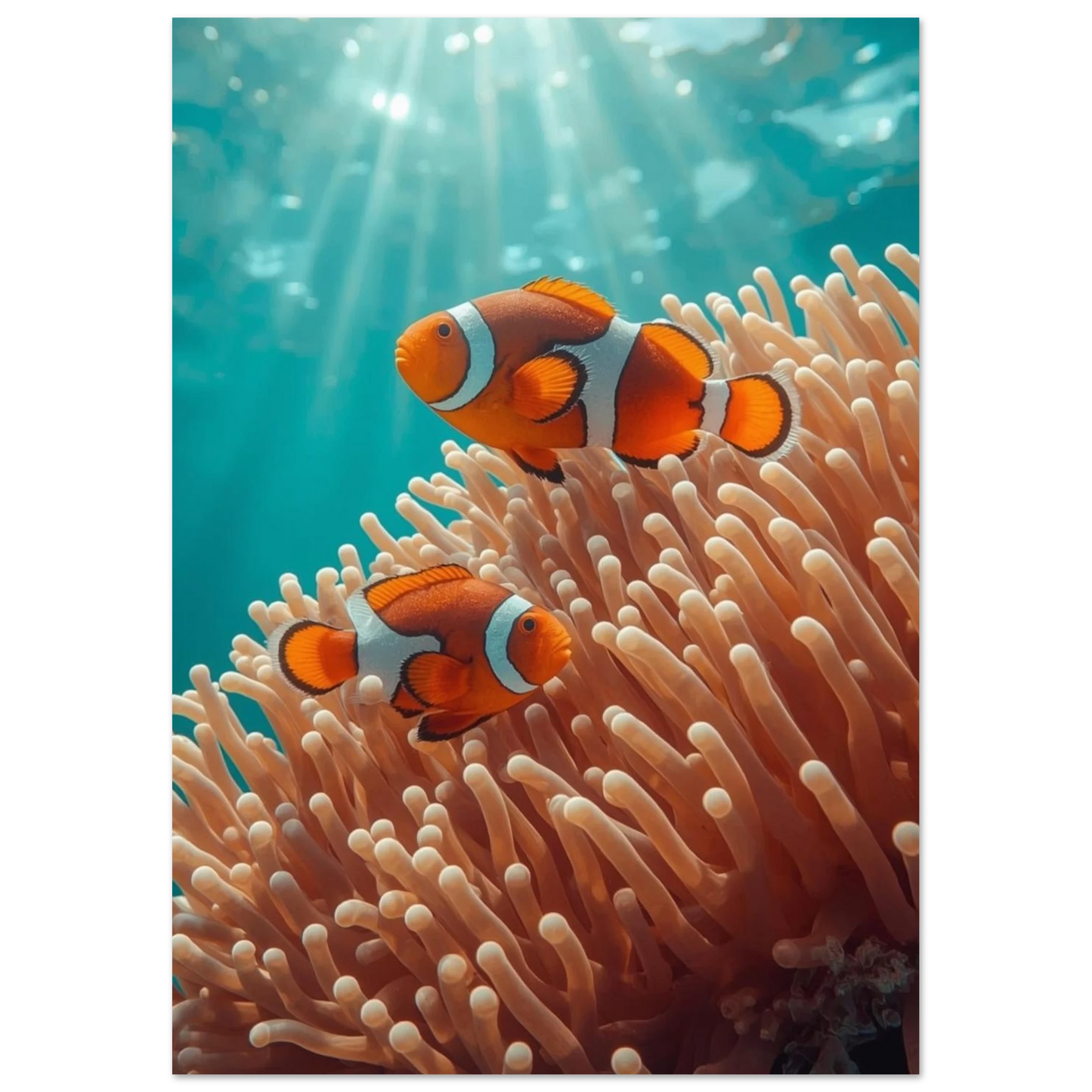 Detaljrik undervattensbild på clownfiskar och anemoner i ett tropiskt hav