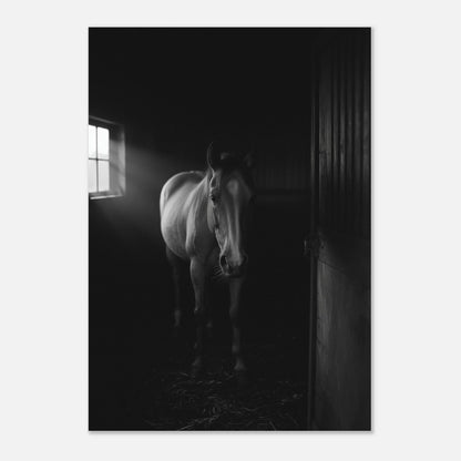 Minimalistisk djurposter med häst i mörkt stall, svartvitt konsttryck