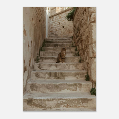 Fotografi av en katt på en solblekt stentrappa, harmonisk väggkonst