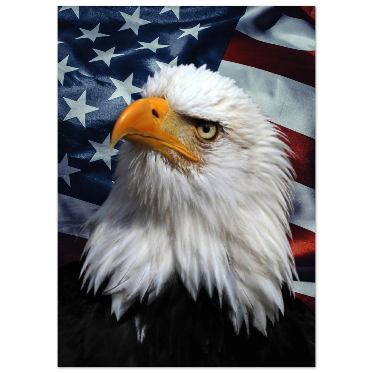 Stolt vithövdad havsörn framför en vajande USA-flagga – Fotorealistisk poster