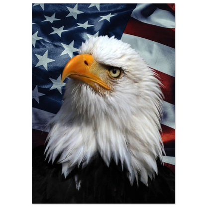 Stolt vithövdad havsörn framför en vajande USA-flagga – Fotorealistisk poster
