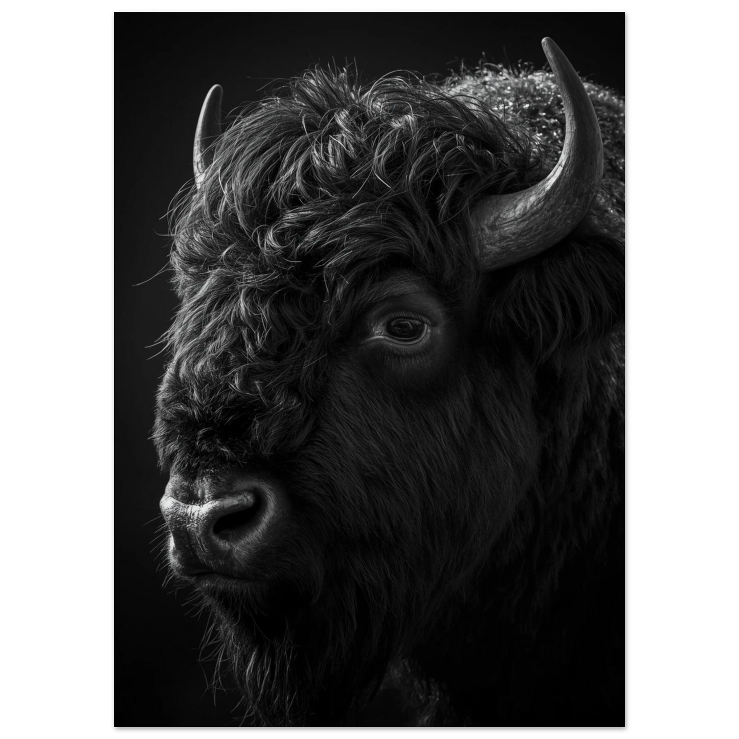 Ståtlig bisonoxe med detaljerade horn i monokrom fotokonst – djurmotiv