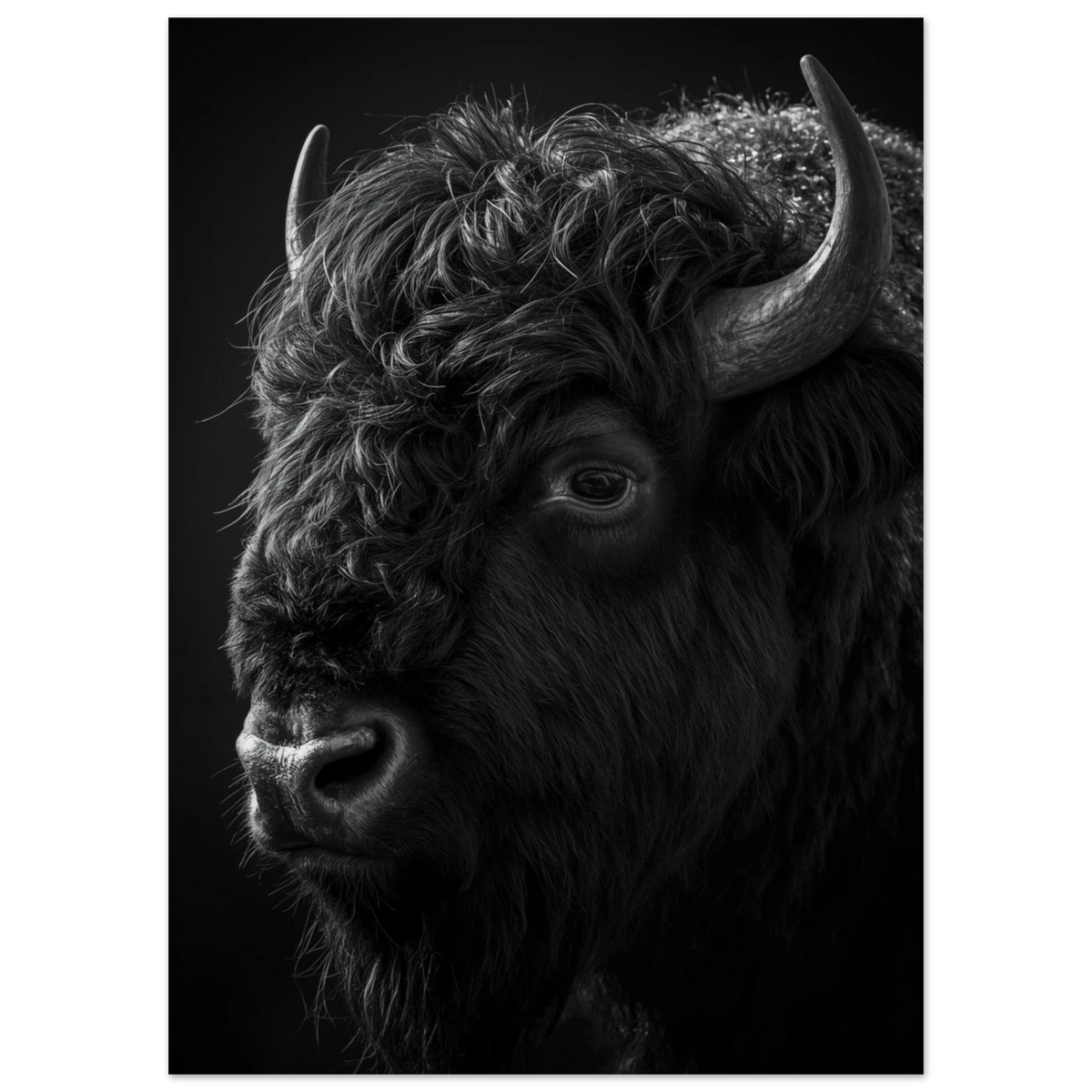 Ståtlig bisonoxe med detaljerade horn i monokrom fotokonst – djurmotiv