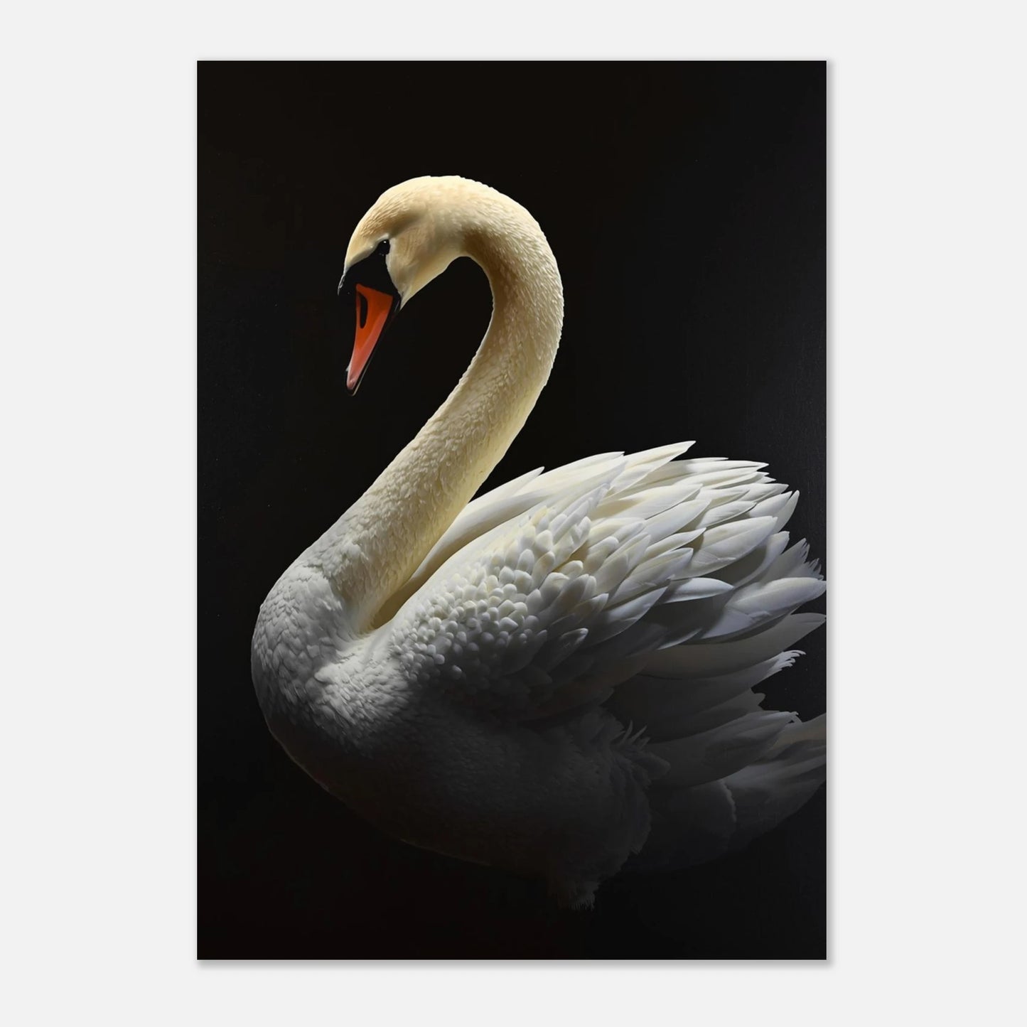 Konstnärligt svanmotiv med hög kontrast och synliga penseldrag – canvastryck fåglar