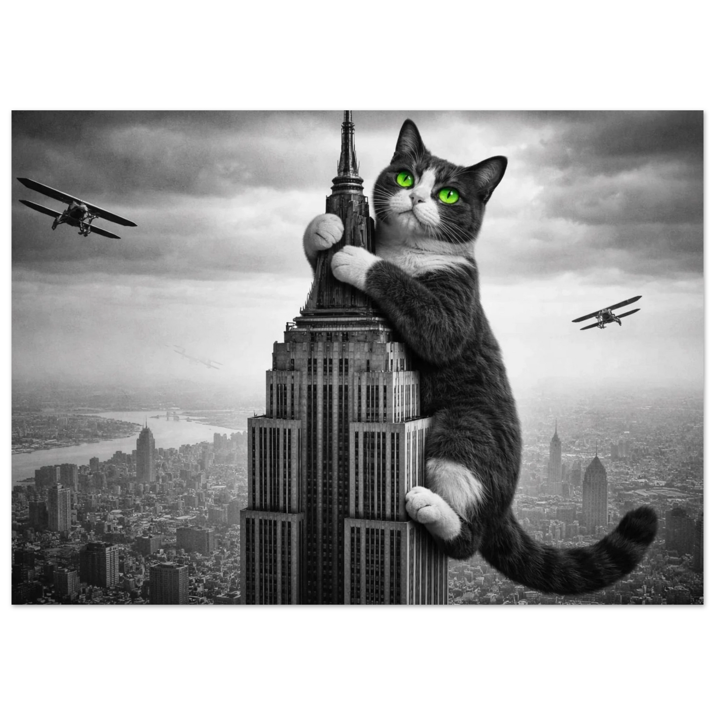 Svartvit katt med gröna ögon klättrar på Empire State Building, med stadssilhuett i bakgrunden – Fotorealistisk poster