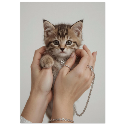 Liten randig kattunge i händer med silversmycken på mörk bakgrund