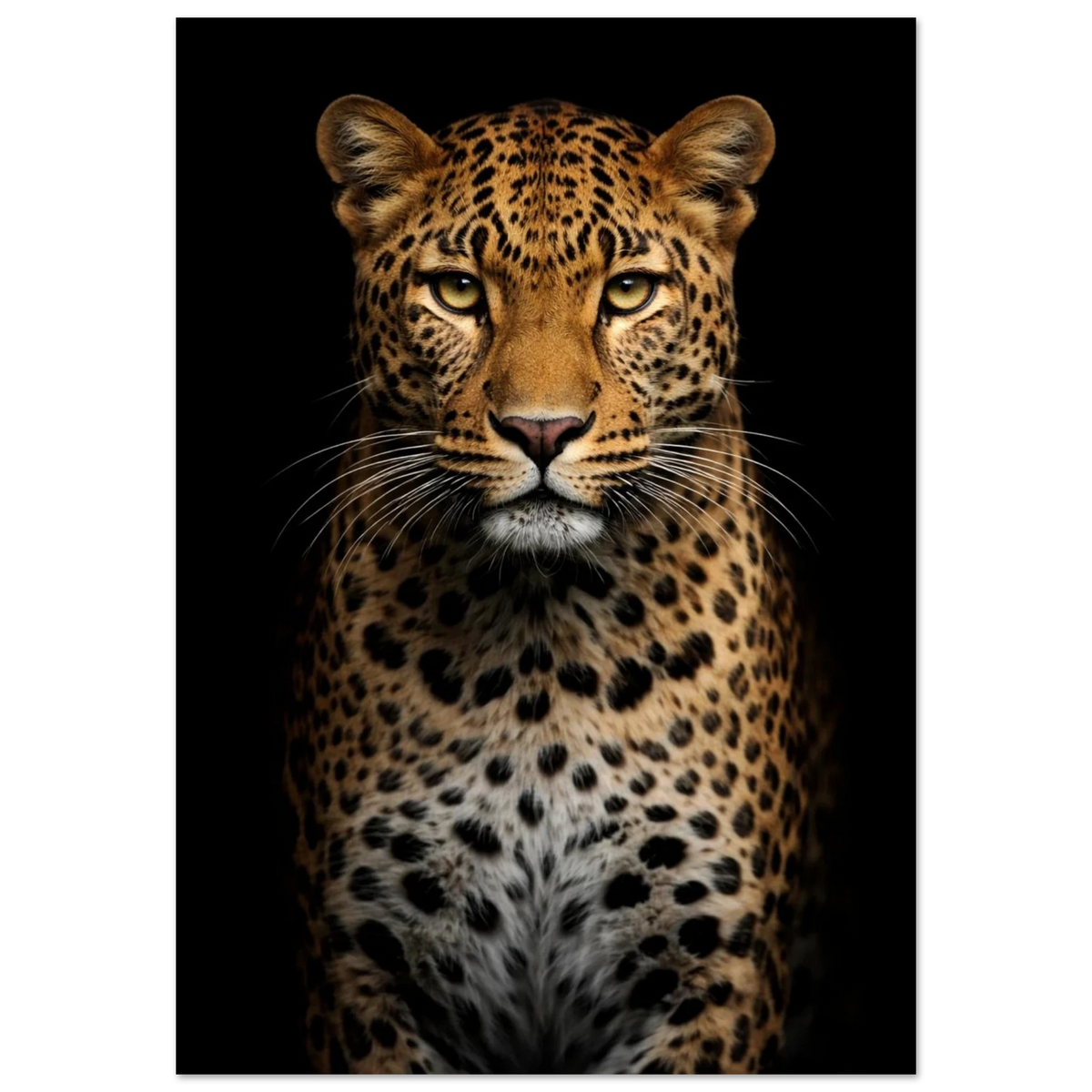 Detaljbild av en leopard framifrån med en mörk bakgrund – Fotorealistisk poster