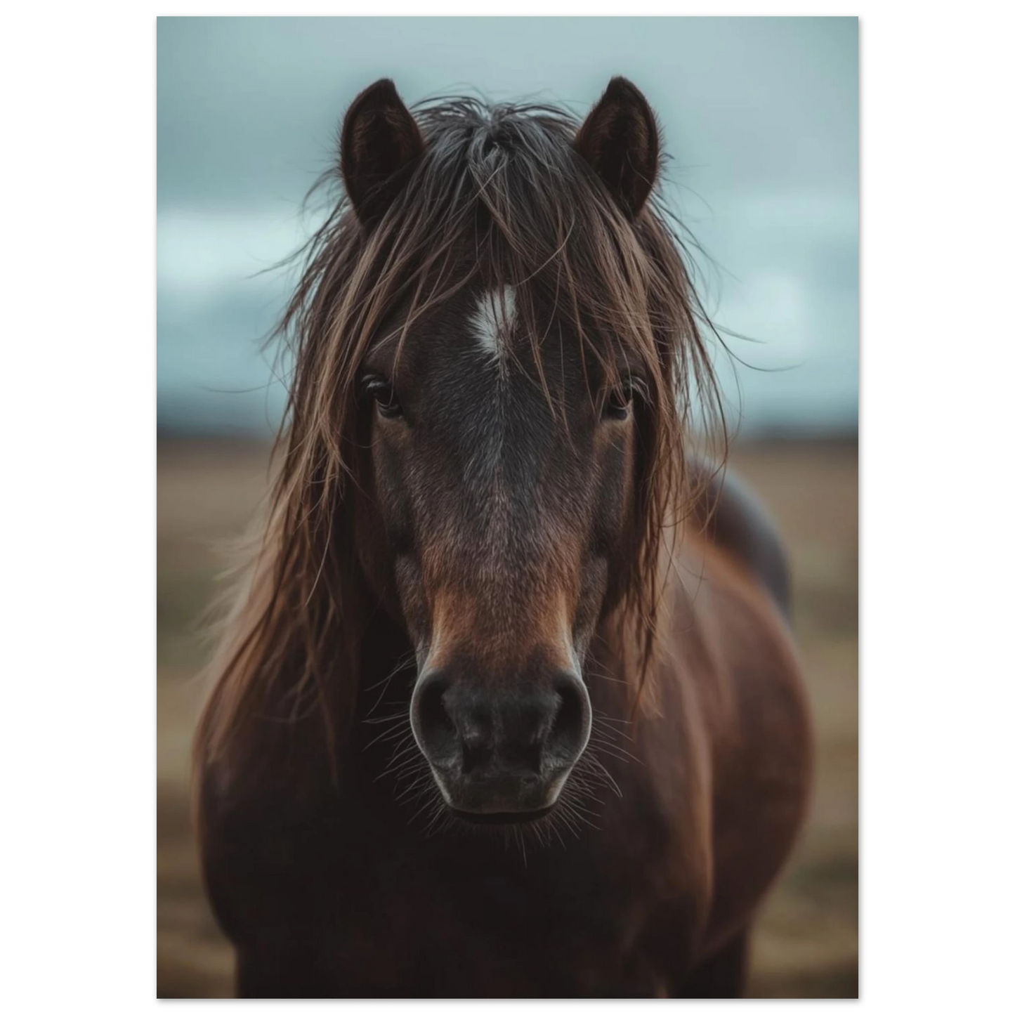 Brun häst med vit stjärn i pannan mot suddig bakgrund – fotorealistisk poster